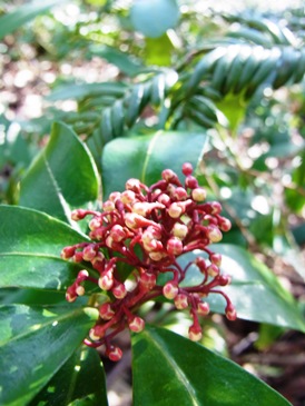 c0204725_2322179.jpg