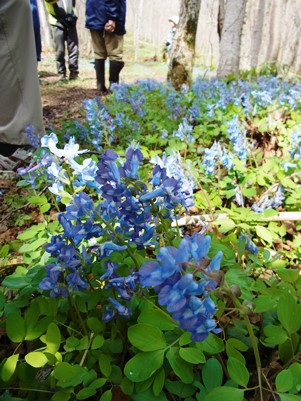 c0204725_239119.jpg