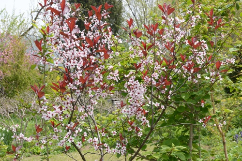 c0107129_22585113.jpg