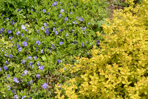 c0107129_2315254.jpg