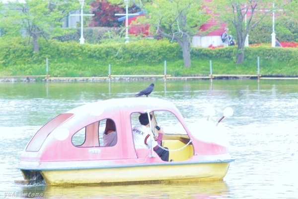 ✿ぽかぽか陽気に誘われて～春の動物園オフ～_b0330432_11004043.jpg