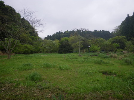 a0123836_17343699.jpg