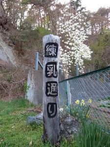 清水川の春さんぽ（１）、庭先の花を楽しみながら練乳通りをてくてく_b0206037_08403234.jpg