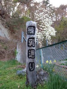 清水川の春さんぽ(1)、庭先の花を楽しみながら練乳通りをてくてく_b0206037_08403234.jpg