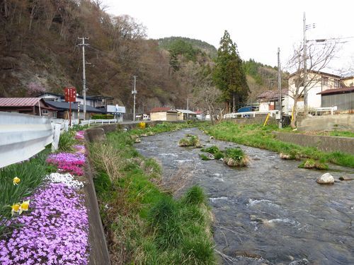 清水川の春さんぽ（１）、庭先の花を楽しみながら練乳通りをてくてく_b0206037_21211373.jpg