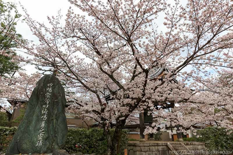 妙顕寺の桜_b0325840_23232296.jpg