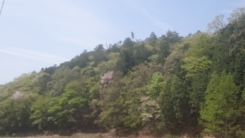 e0145441_23442008.jpg