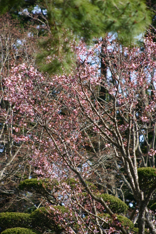 見晴公園　旬なお知らせ_e0145841_1752374.jpg