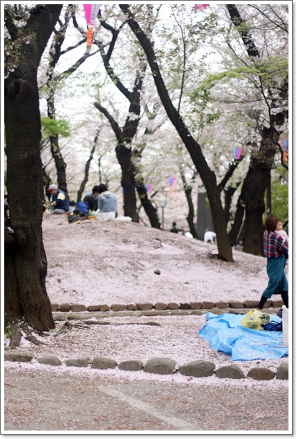 【王子】お花見散歩『飛鳥山公園』桜吹雪と桜絨毯♪_c0311342_20374980.jpg