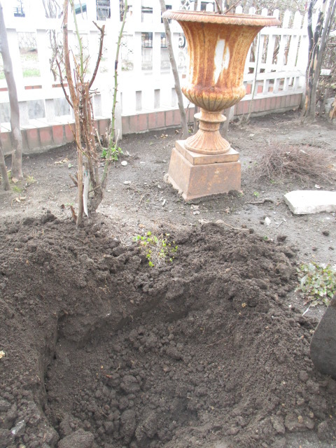 a0279743_8272278.jpg