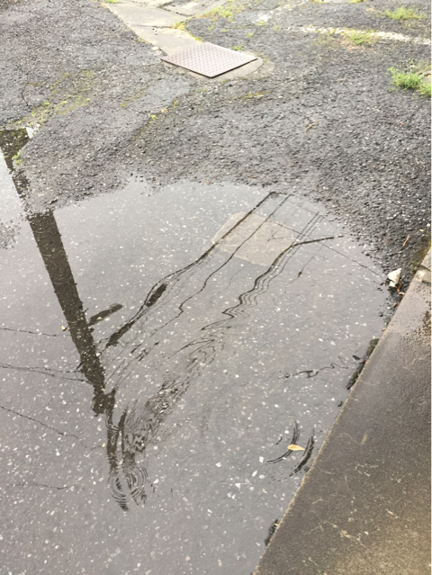 ダチが来る！ オーラス（笑）_b0136045_07181876.jpg