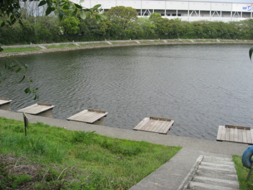 変 だ 清久釣場は今 どうなっているか 久喜市議会議員 いのまた和雄による 久喜市の 変 なもの いいもの