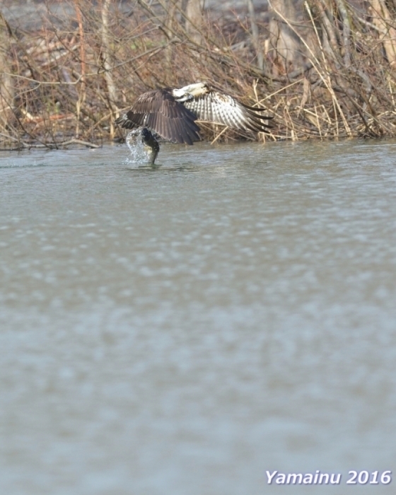 f0194048_18233620.jpg