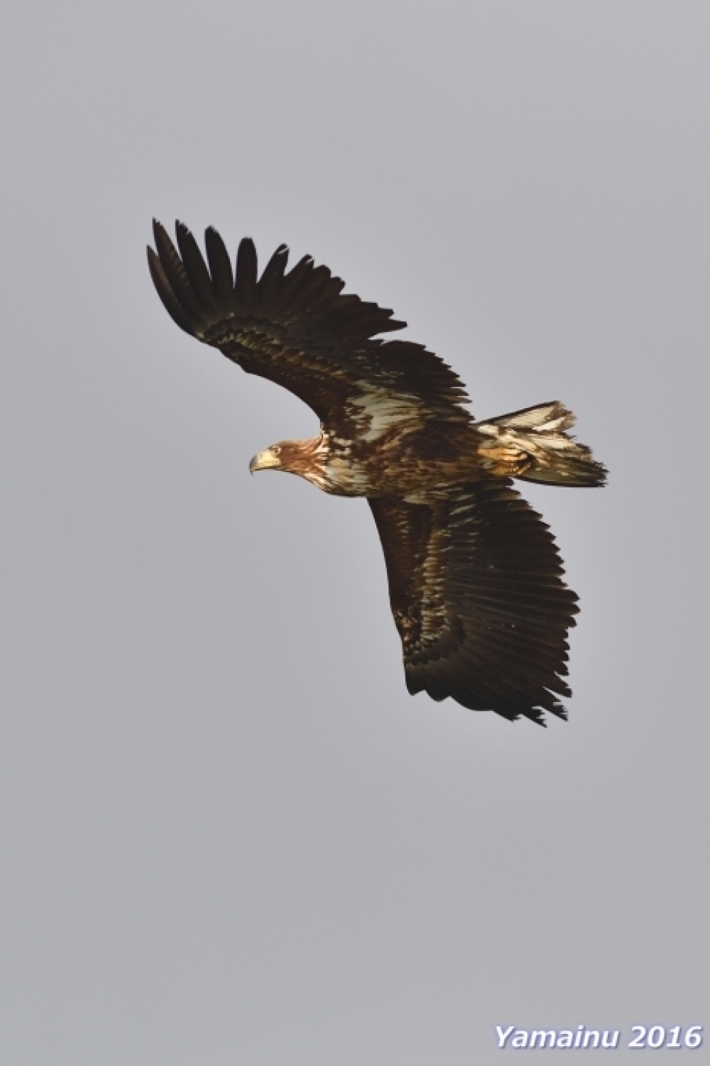 f0194048_18250687.jpg