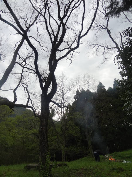 e0033751_18403523.jpg