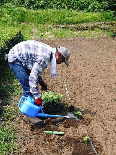 菊池水源産『えごま油』 お待たせしました!無農薬・無化学肥料で育てた『エゴマ油』再入荷しました!!_a0254656_1849694.jpg