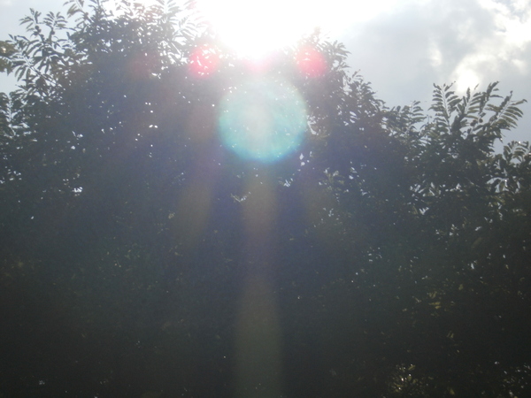 a0174458_23896.jpg