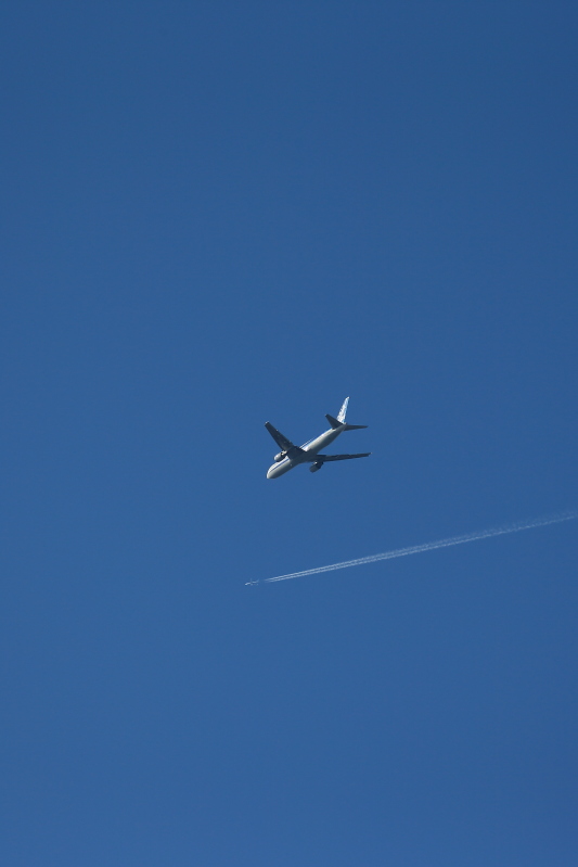 c0272958_12124415.jpg