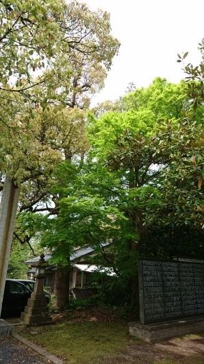 名和神社_b0352459_16300980.jpg