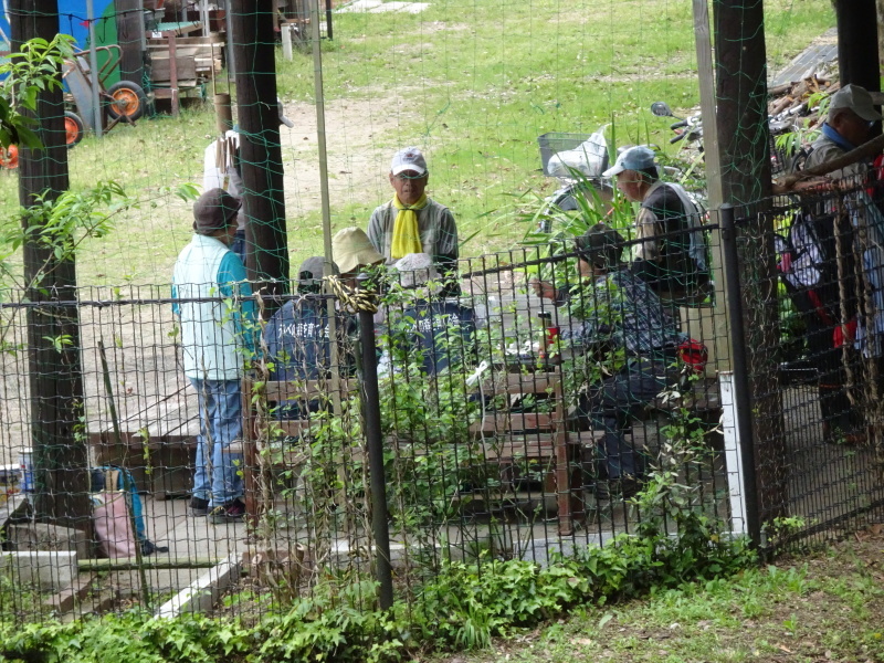 うみべの森を育てる会全員運営委員会・・・せんなん里海公園内うみべの森_c0108460_20525795.jpg