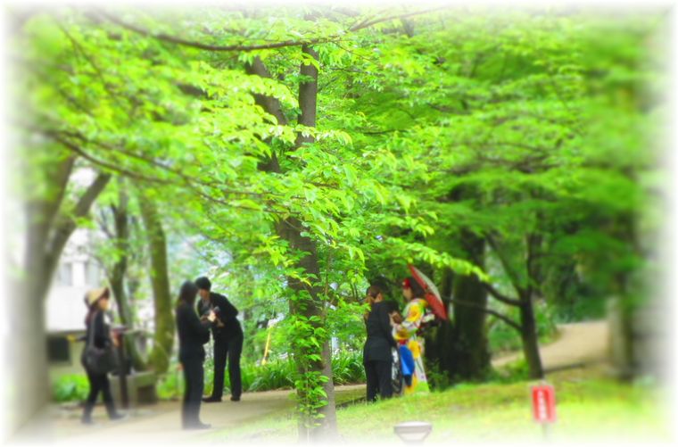 新緑のトンネル・・・♪_d0175974_20433485.jpg