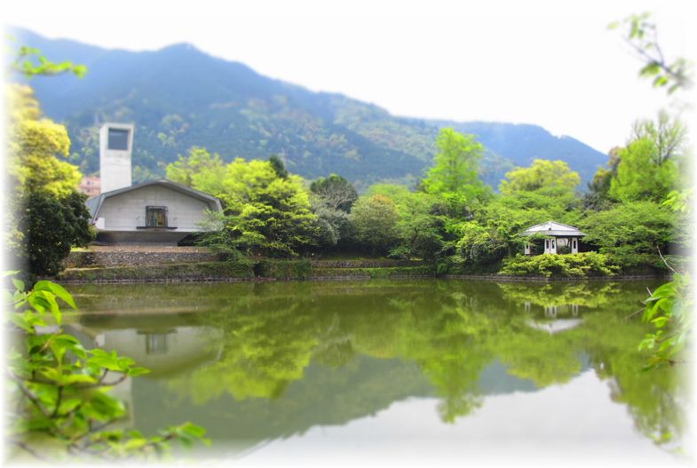 新緑のトンネル・・・♪_d0175974_20442011.jpg