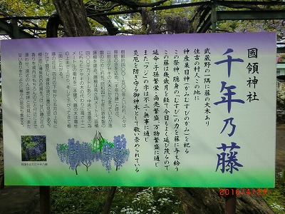 a0185783_102731100.jpg