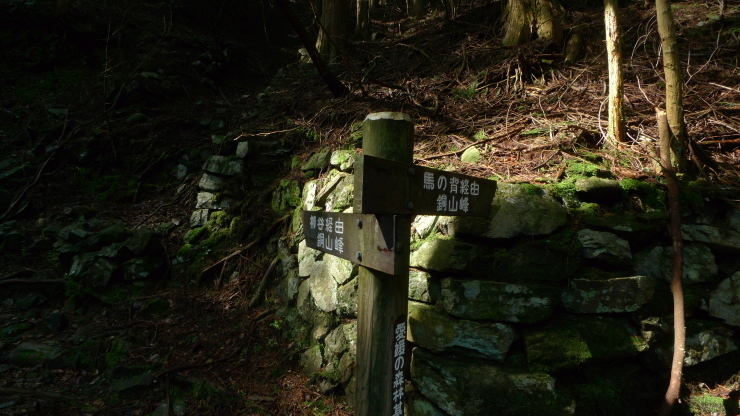 c0212083_19443129.jpg