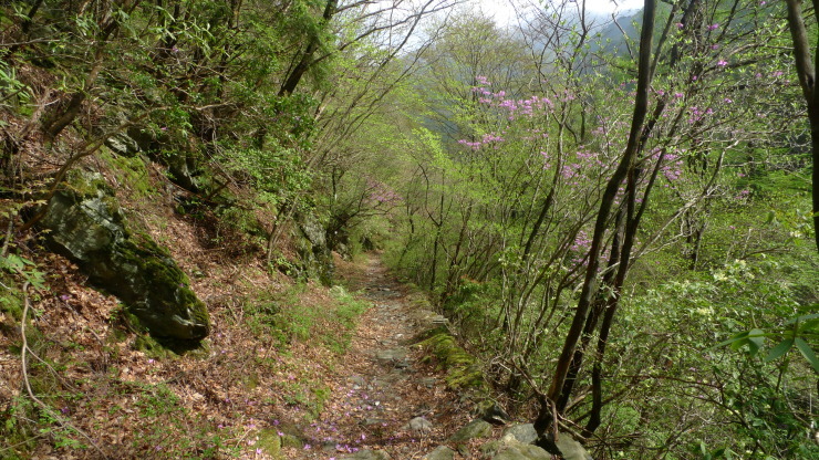 c0212083_19450953.jpg