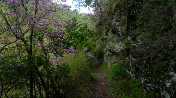 c0212083_19455061.jpg