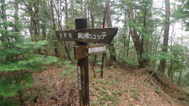 c0212083_19541647.jpg