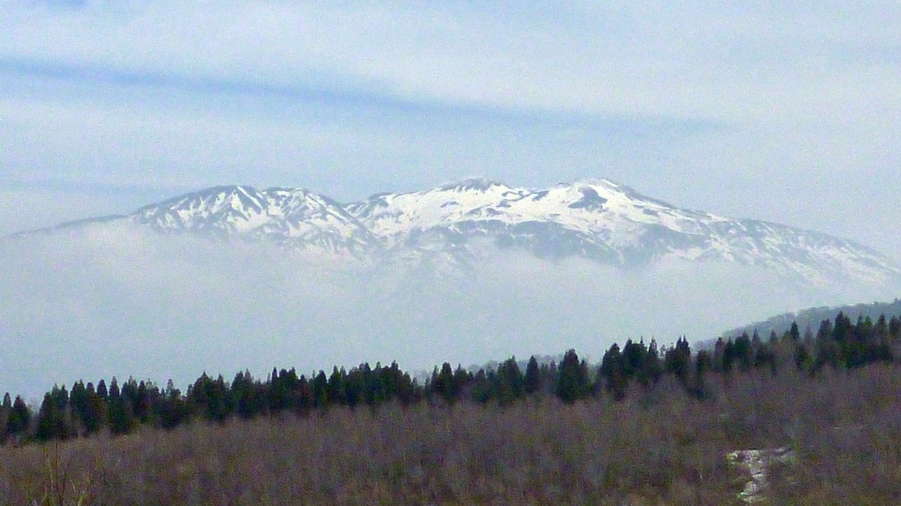 e0355083_17543079.jpg