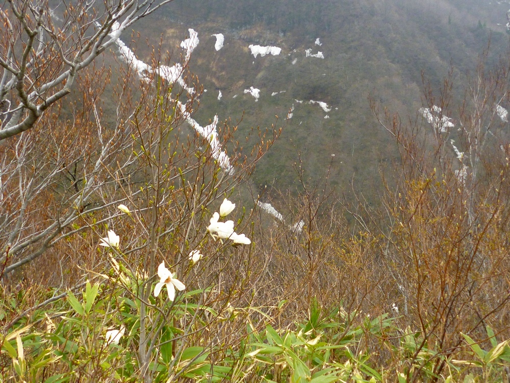 e0355083_17554920.jpg