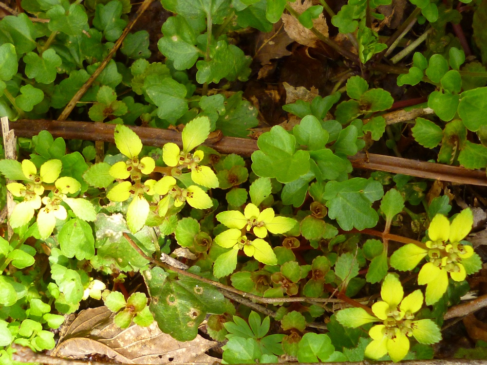 e0355083_17561640.jpg
