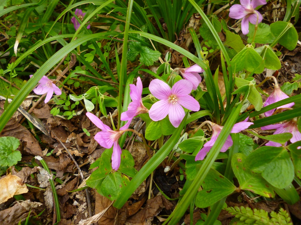 e0355083_17562983.jpg