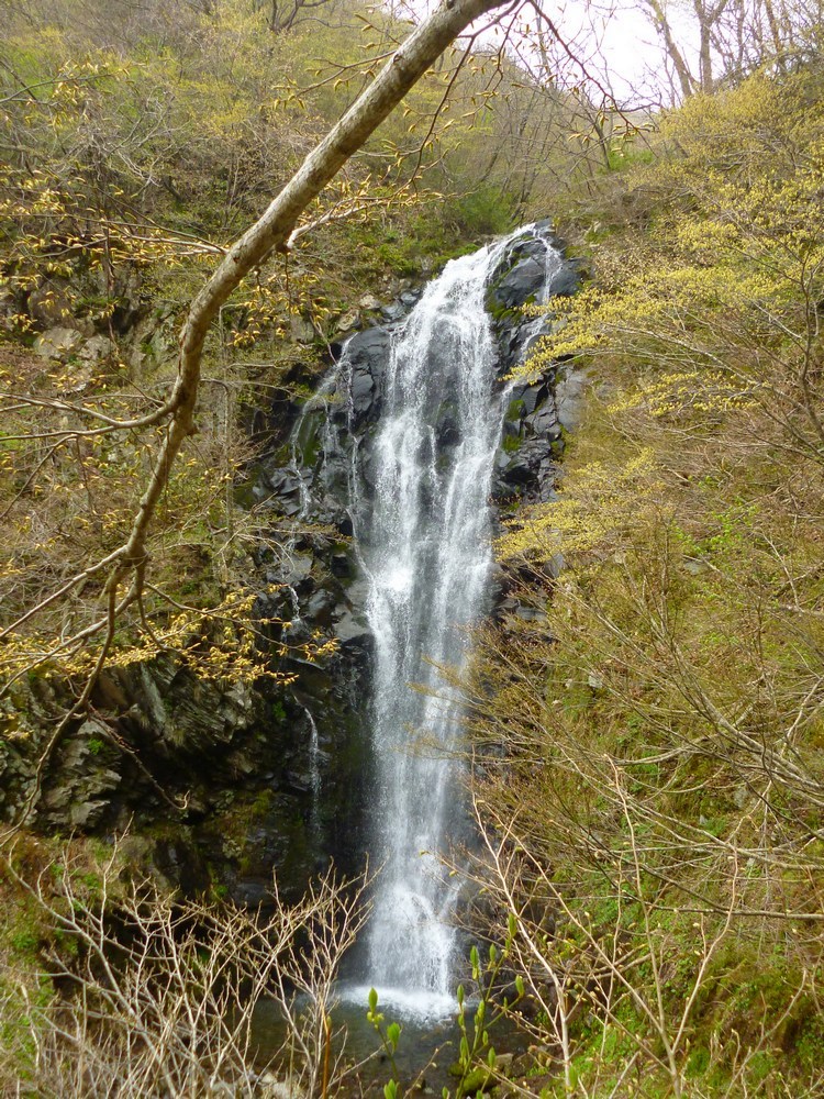e0355083_17565648.jpg