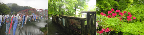 d0132289_15281107.jpg