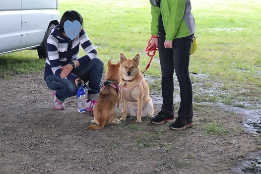 二子玉川里親会　４月_c0337990_23180643.jpg