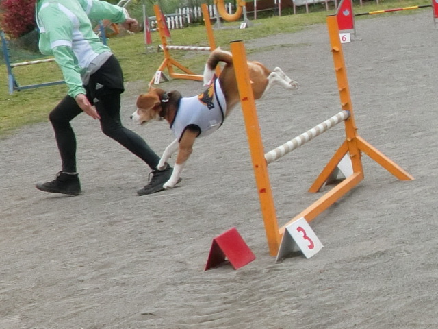 a0319693_812456.jpg