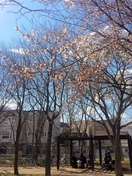 b0199097_21523830.jpg