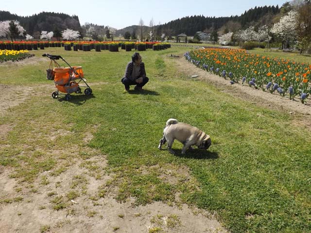 秋田県潟上市「ブルーメッセあきた」_f0019498_16415349.jpg