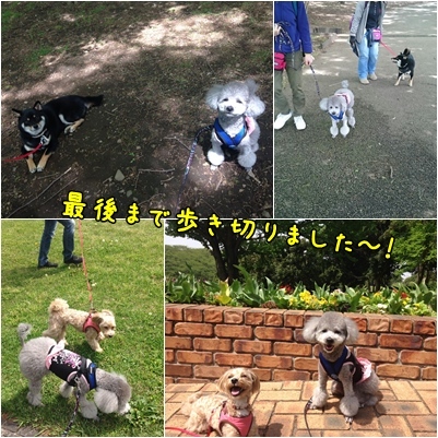 いざ！ラスト森林公園♪_a0338800_15405477.jpg