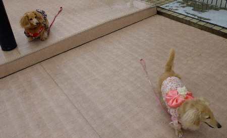 f0178701_103627100.jpg