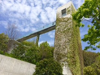 a0050302_11343064.jpg
