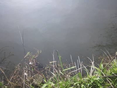 f0082402_22112847.jpg