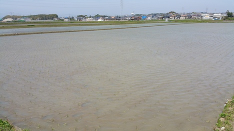 c0210803_10323240.jpg