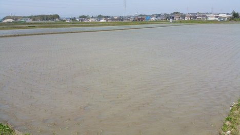 大分・熊本震災!_c0210803_10323240.jpg