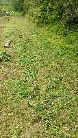 e0270403_12553224.jpg