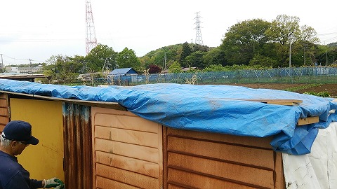 e0270403_130633.jpg