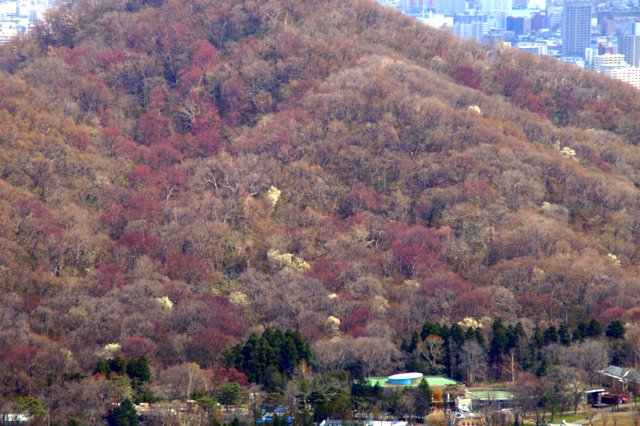a0345007_19542069.jpg